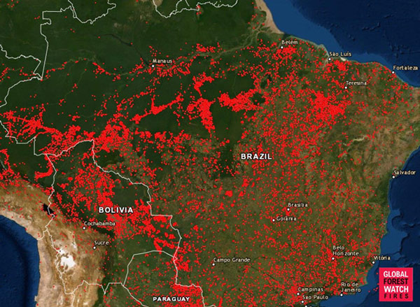 Cháy rừng Amazon, khí CO phủ đỏ bản đồ của NASA